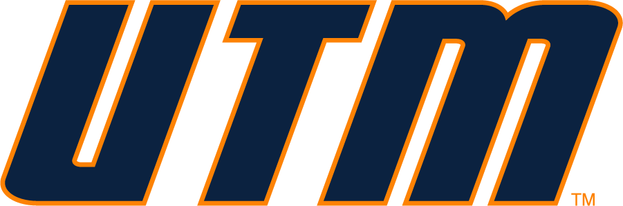 Tennessee-Martin Skyhawks 2007-2020 Wordmark Logo t shirts iron on transfers